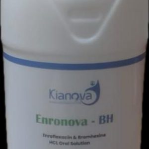 Enronova-BH